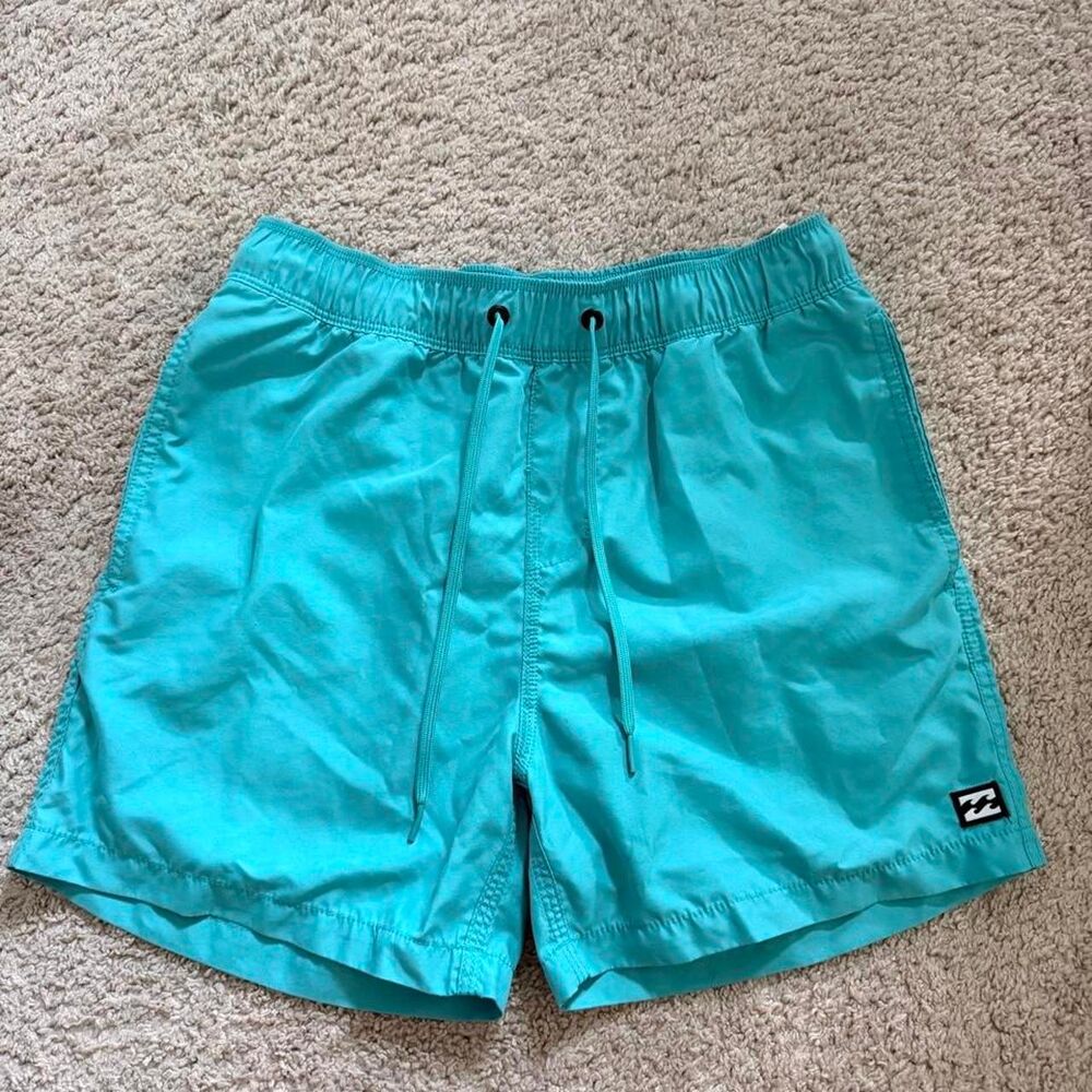 Billabong Men's Blue and Green Swim Briefs Shorts
